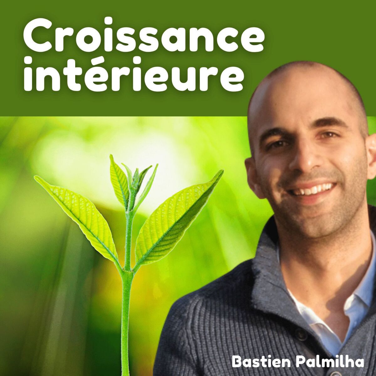 Show cover of Croissance intérieure