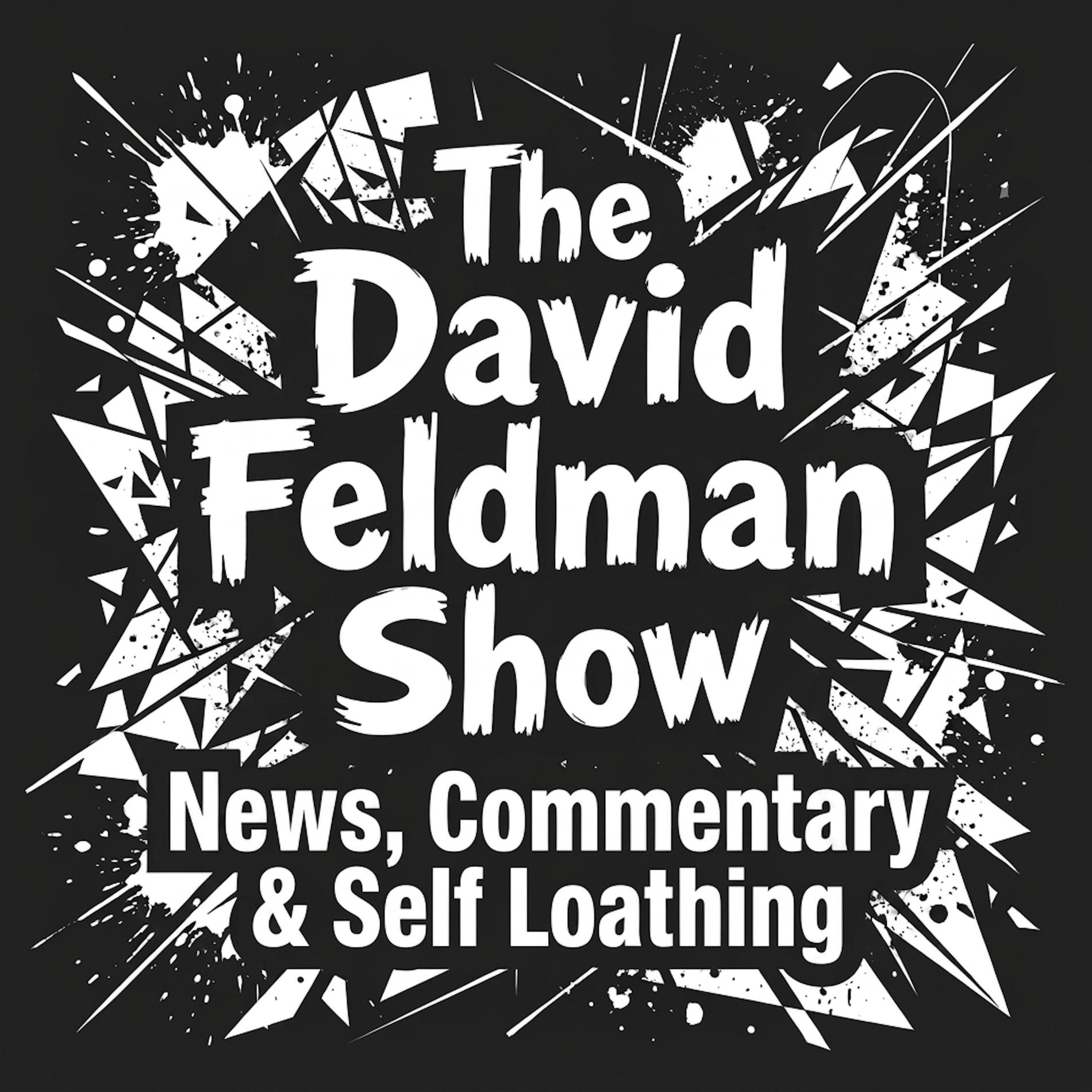 Show cover of David Feldman Show