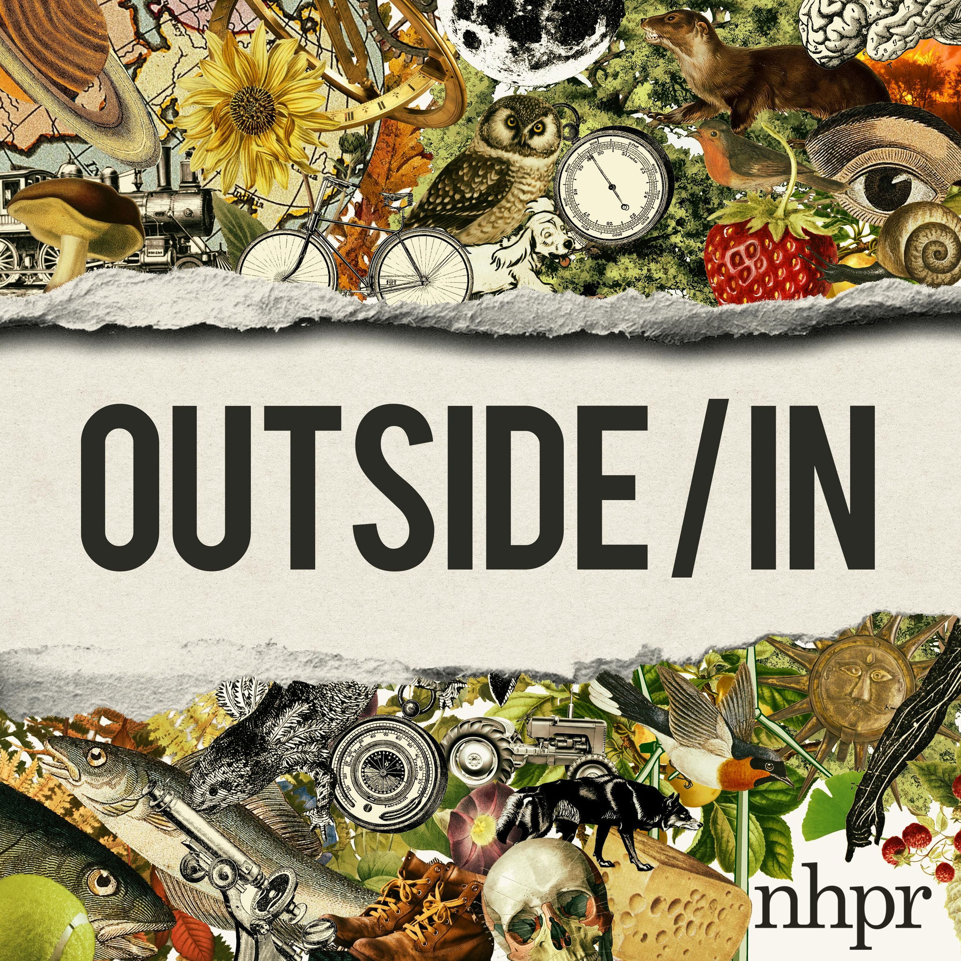 Show cover of Outside/In