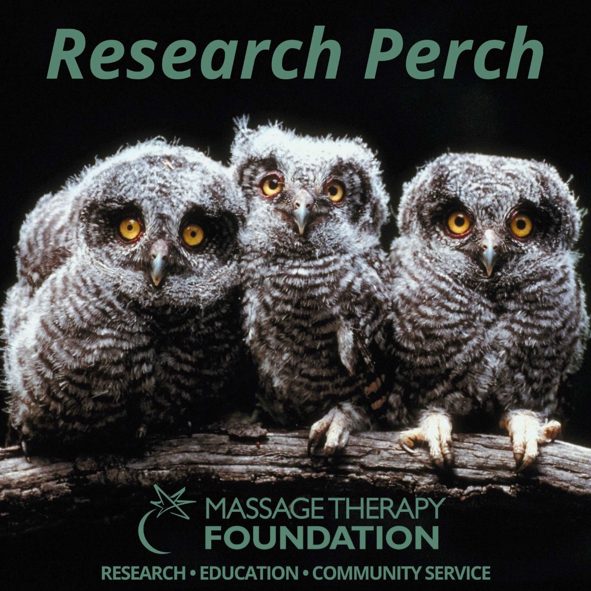 Show cover of Research Perch