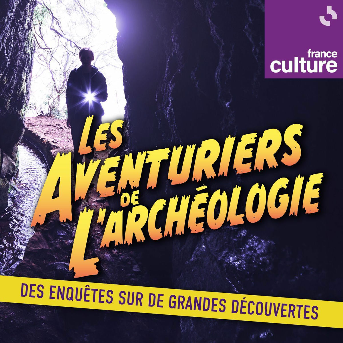 Show cover of Les aventuriers de l'archéologie