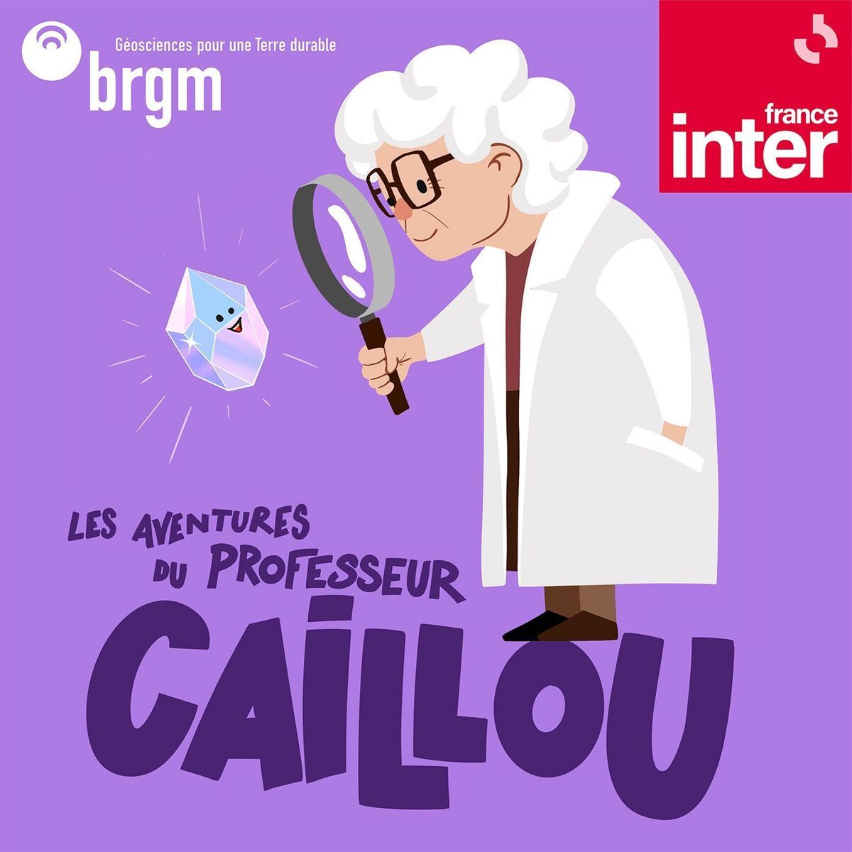 Show cover of Les aventures du professeur Caillou