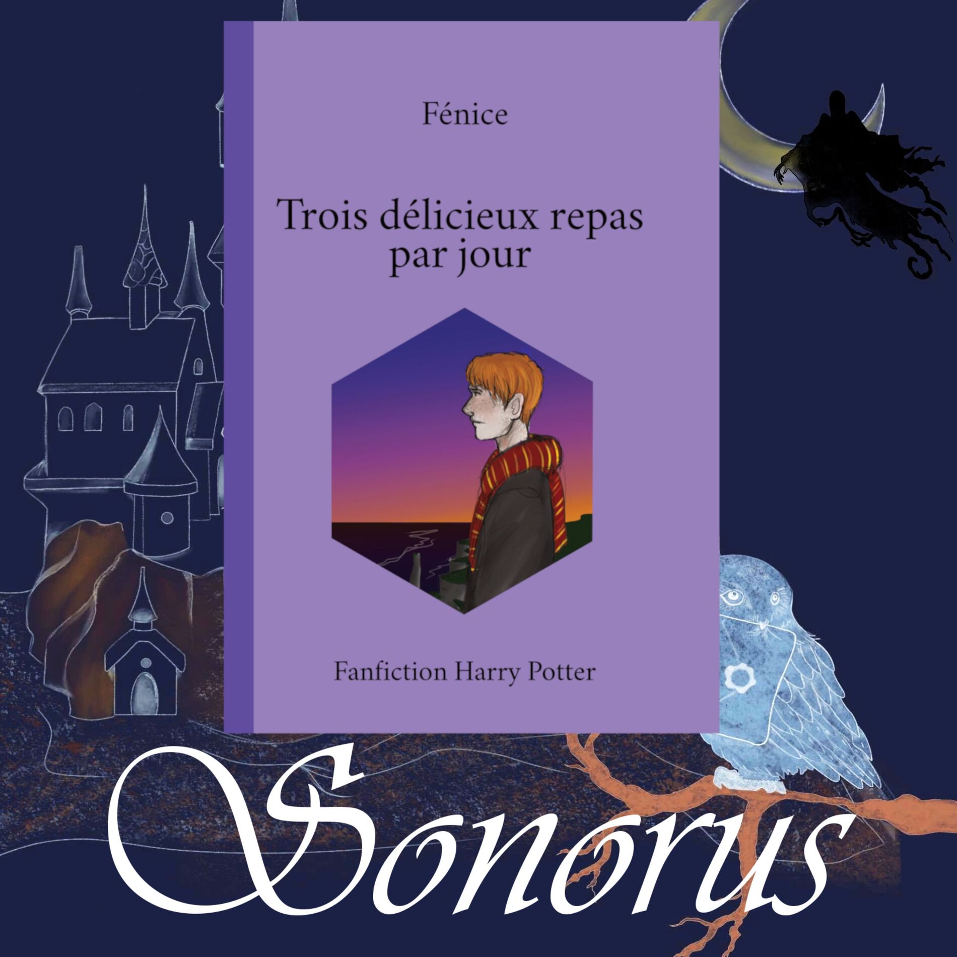 Show cover of Sonorus - Trois délicieux repas par jour