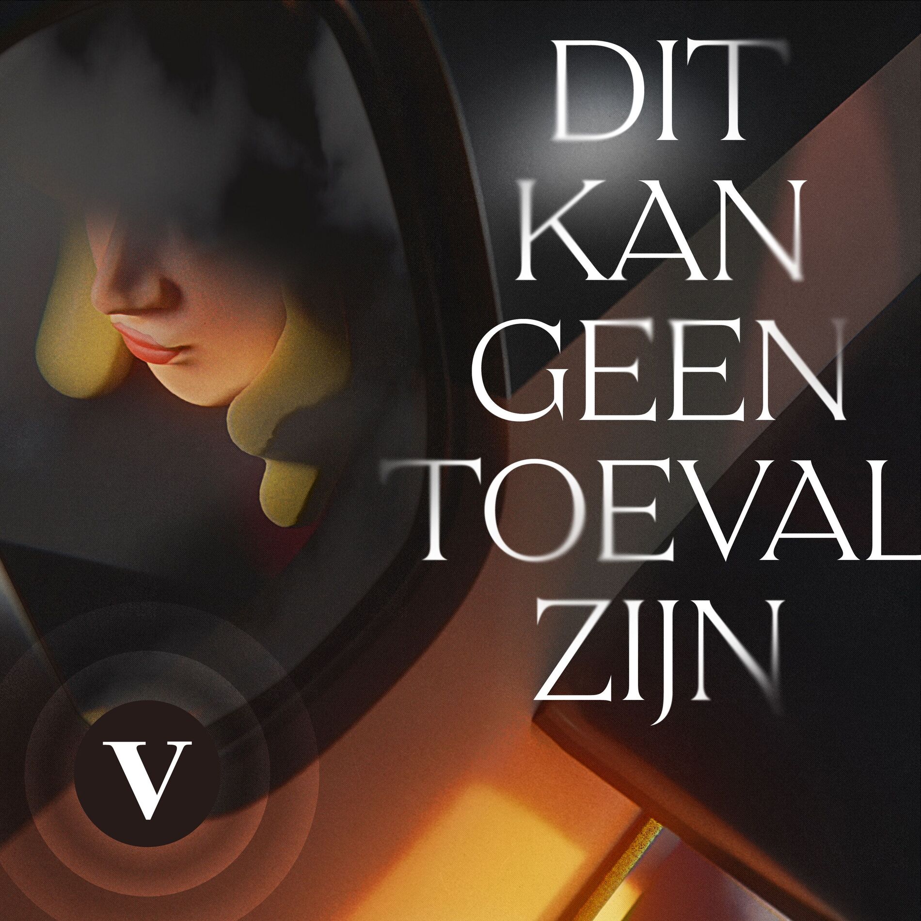 Show cover of Dit kan geen toeval zijn