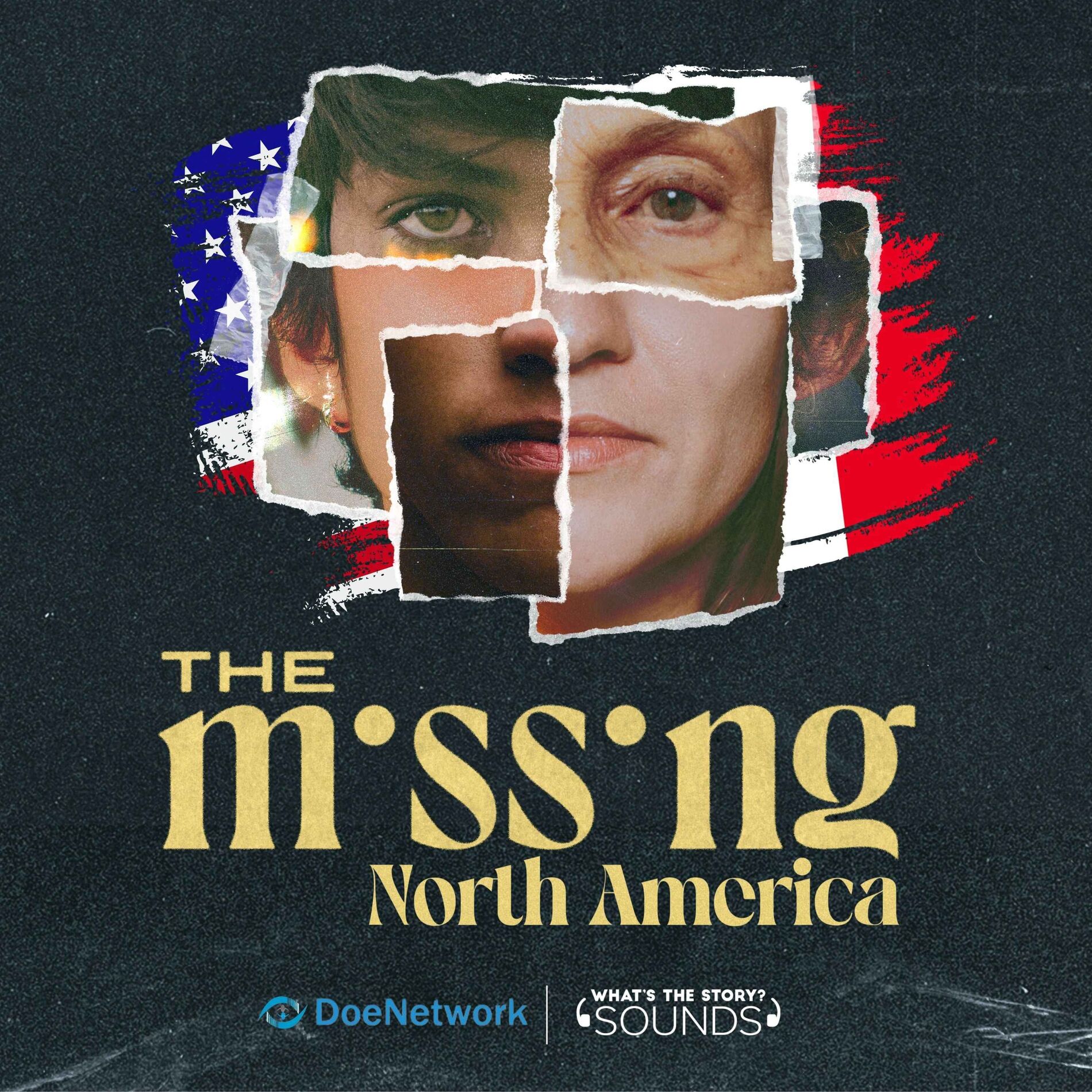 Show cover of The Missing