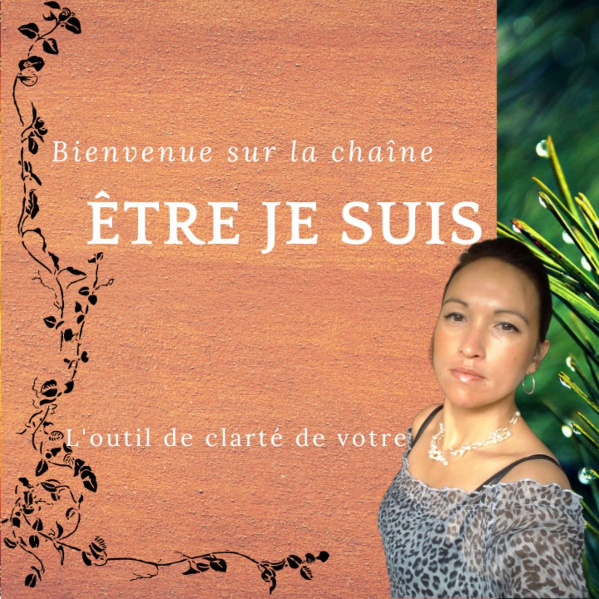 Show cover of La jalousie sur le parcours d'éveil