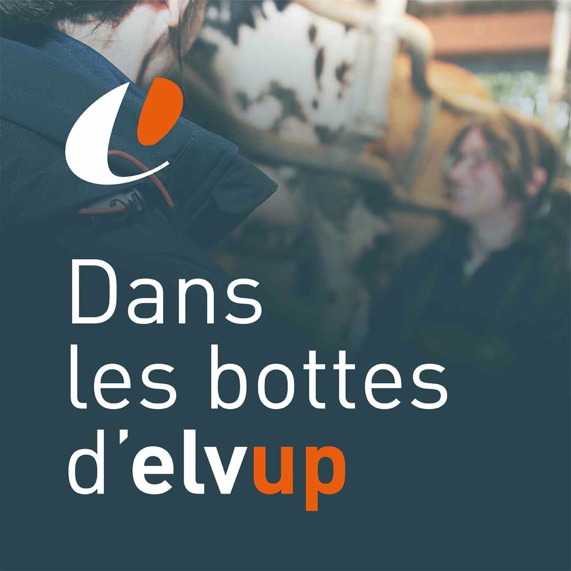 Show cover of Dans les bottes d'Elvup