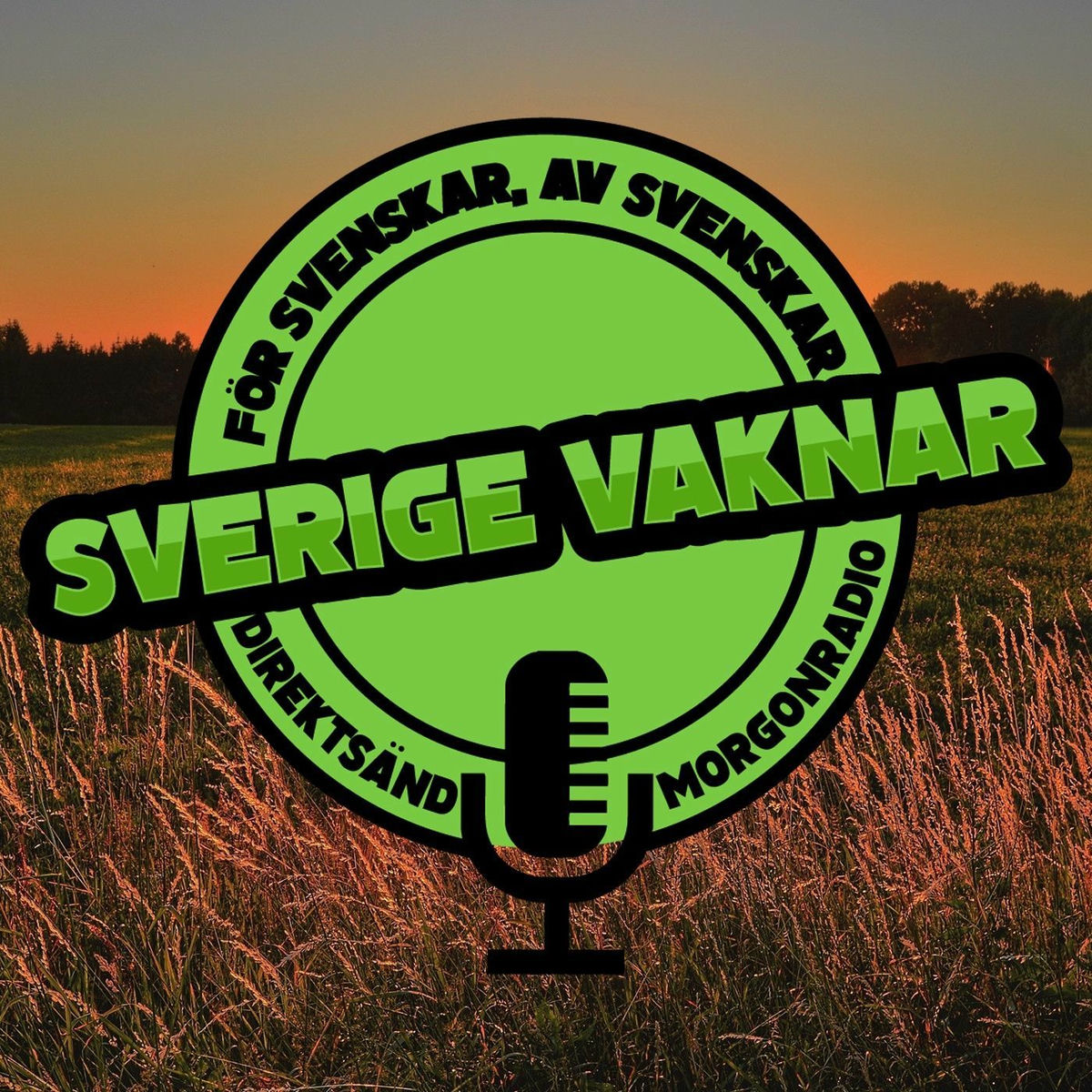 Show cover of Sverige vaknar