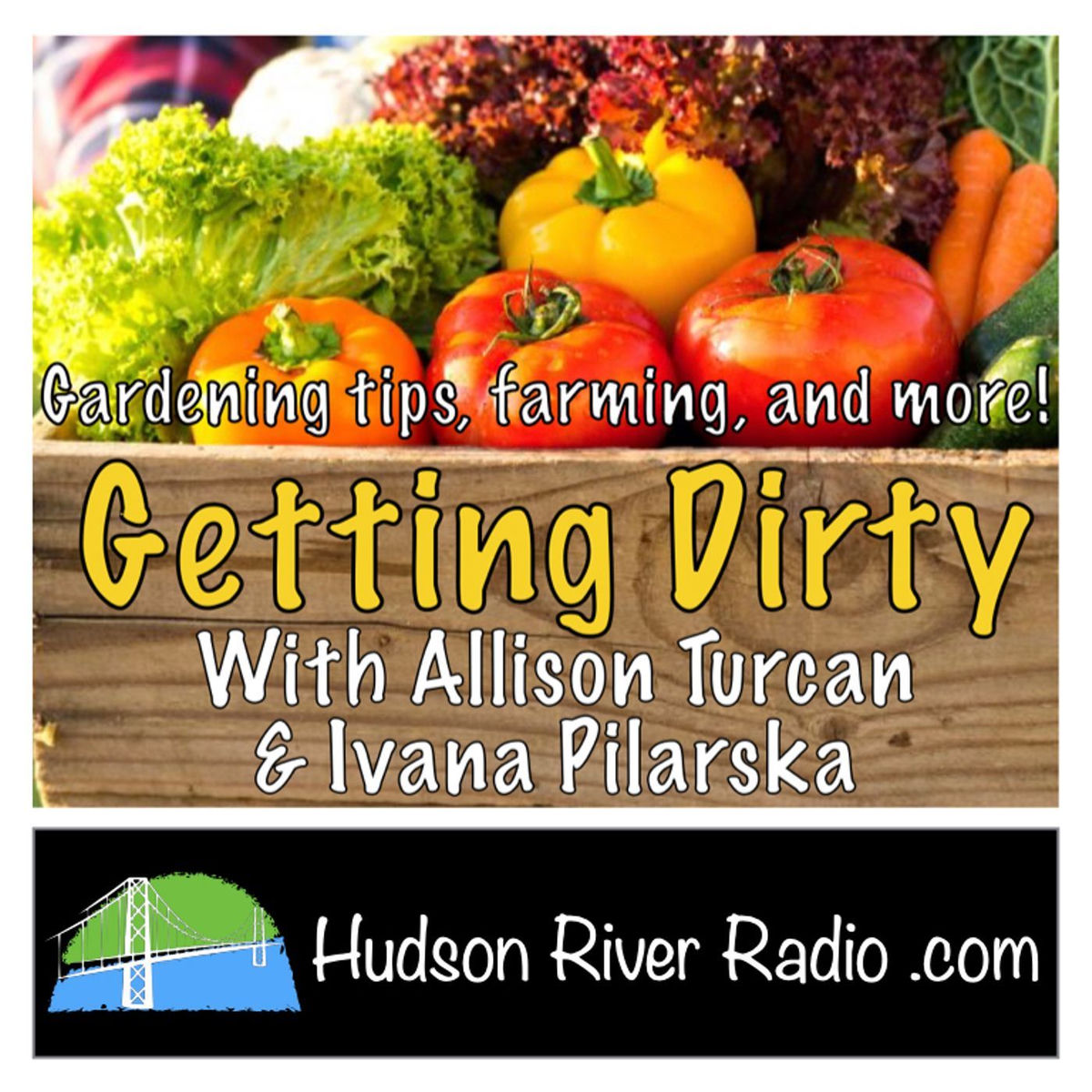 Show cover of Getting Dirty