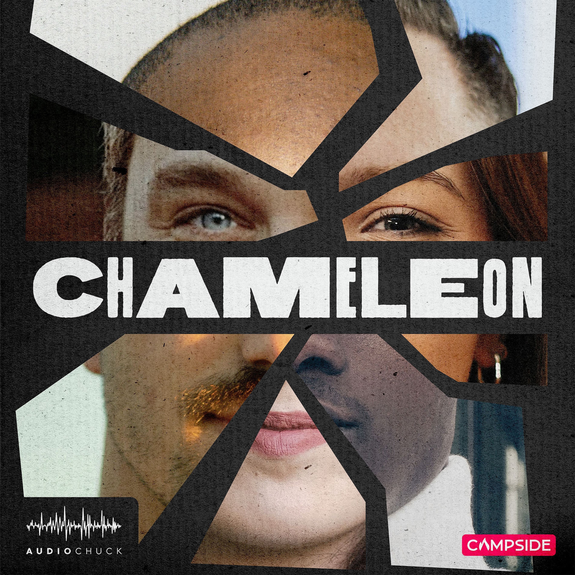 Show cover of Chameleon