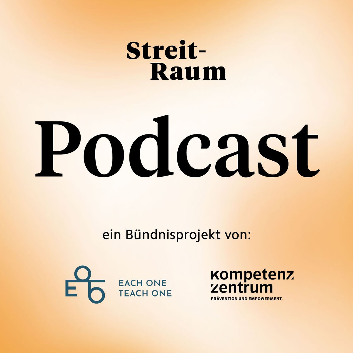 Show cover of StreitRaum Podcast