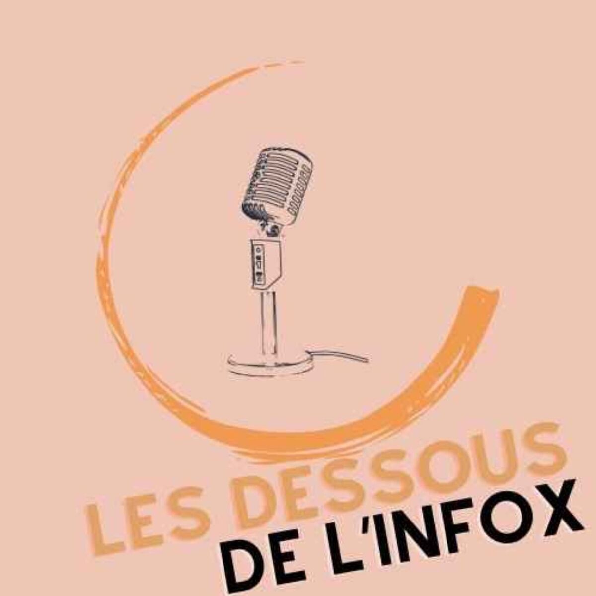 Show cover of Les Dessous de l'Infox
