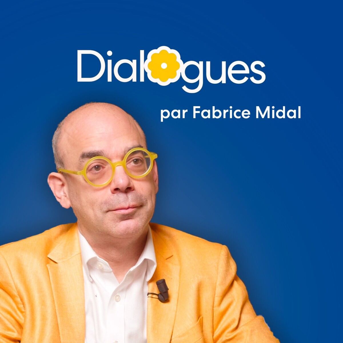 Show cover of Dialogues par Fabrice Midal