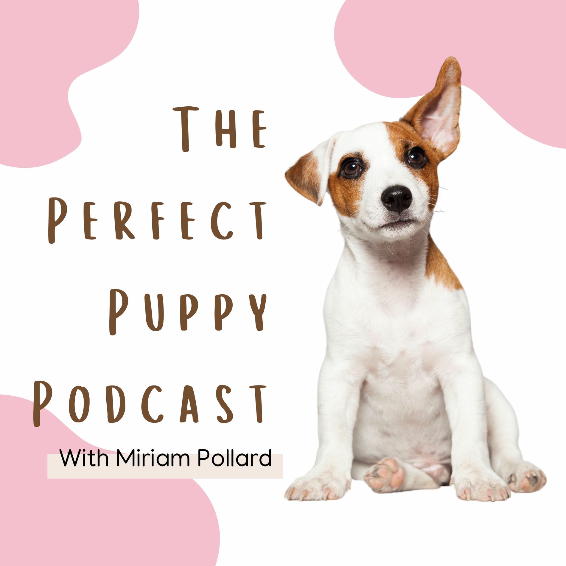 Show cover of The Perfect Puppy Podcast