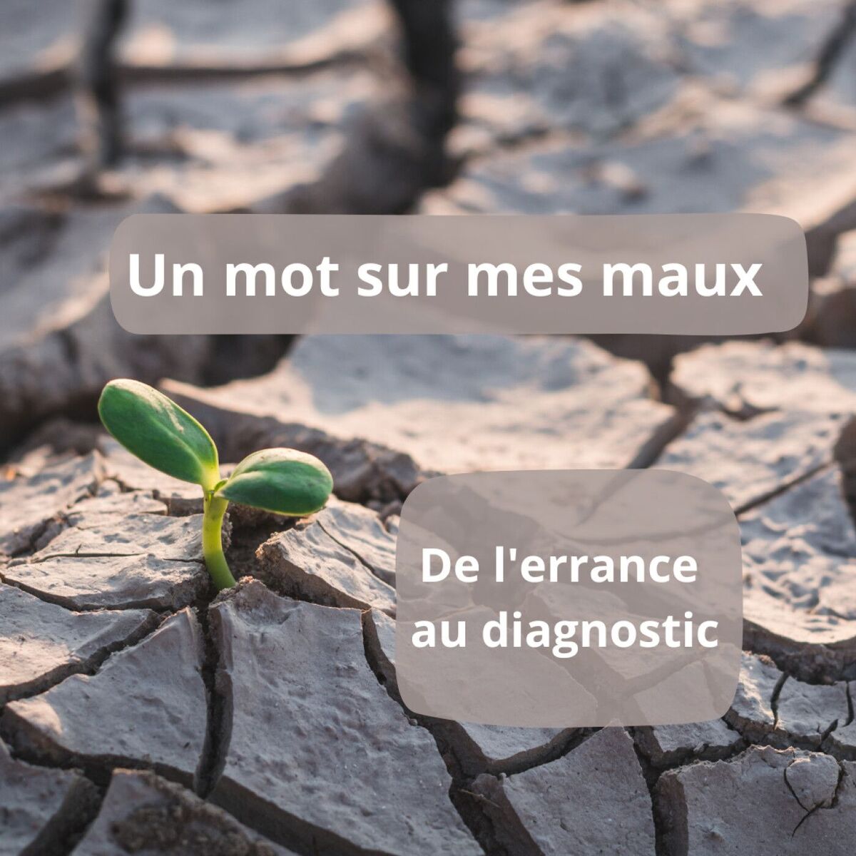 Show cover of Un mot sur mes maux. De l'errance au diagnostic.