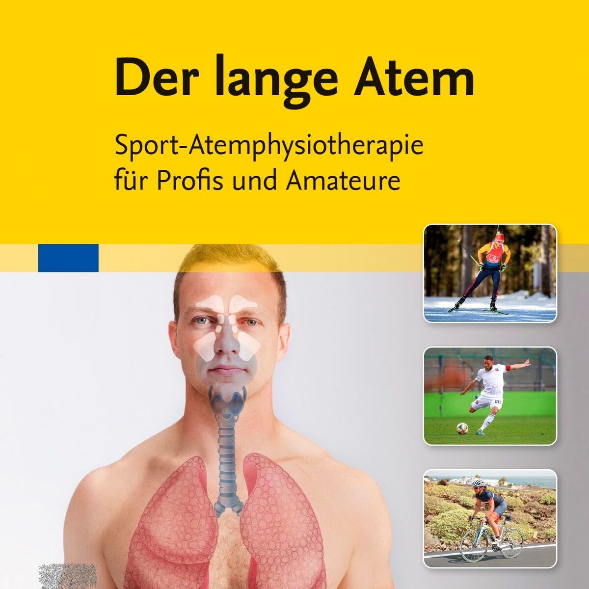 Show cover of Der lange Atem - Der Atempodcast einer Physiotherapeutin