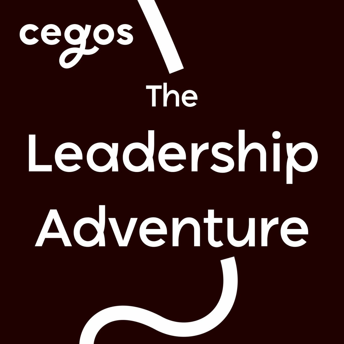 Show cover of The Leadership Adventure