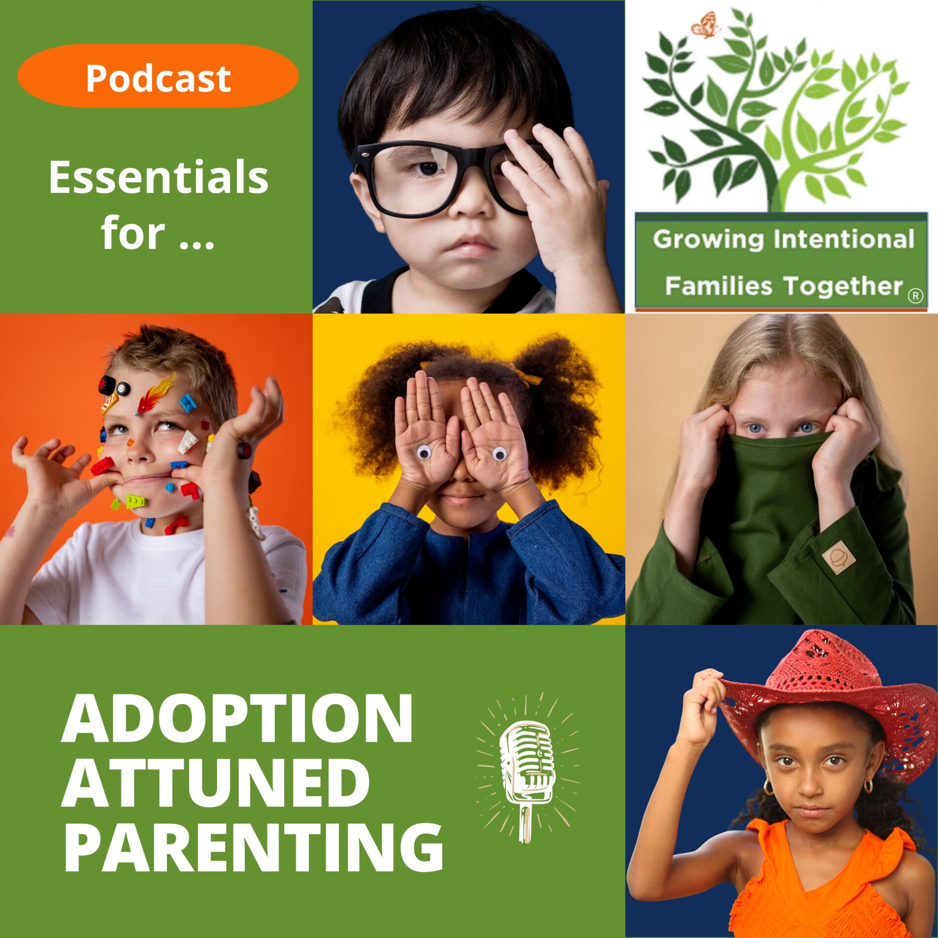 Show cover of The Essentials for Adoption Attuned Parenting
