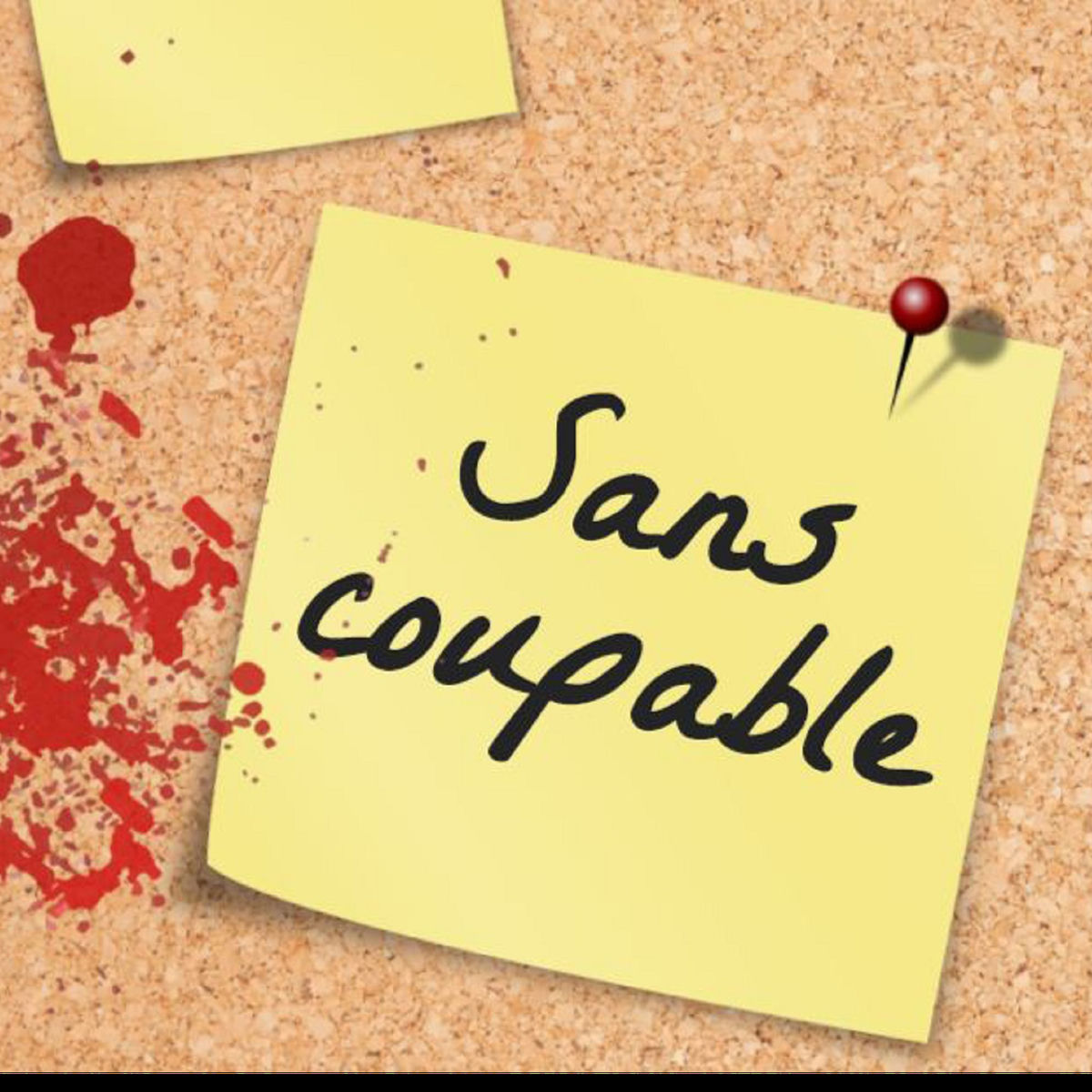 Show cover of Sans coupable