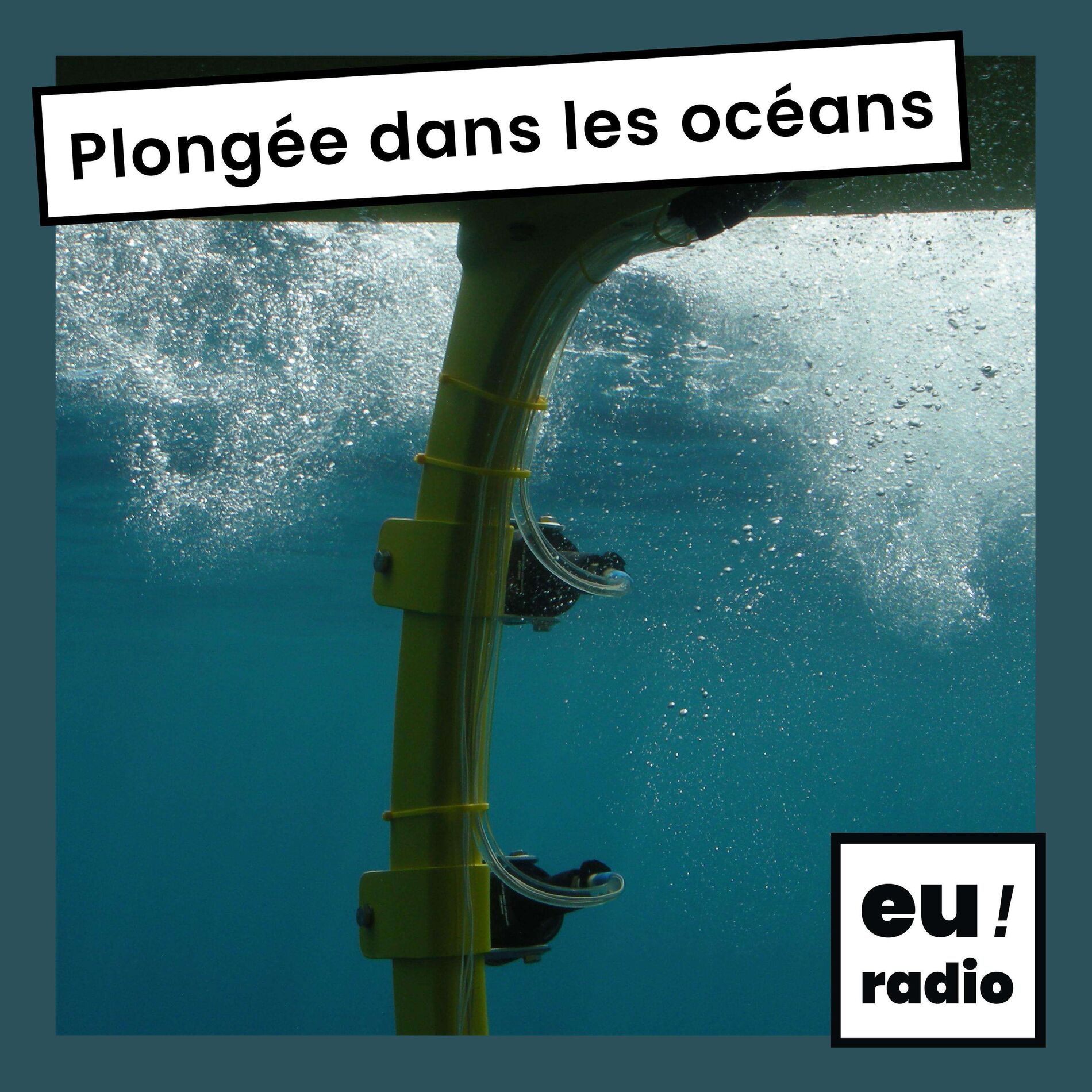 Show cover of Plongée dans les océans