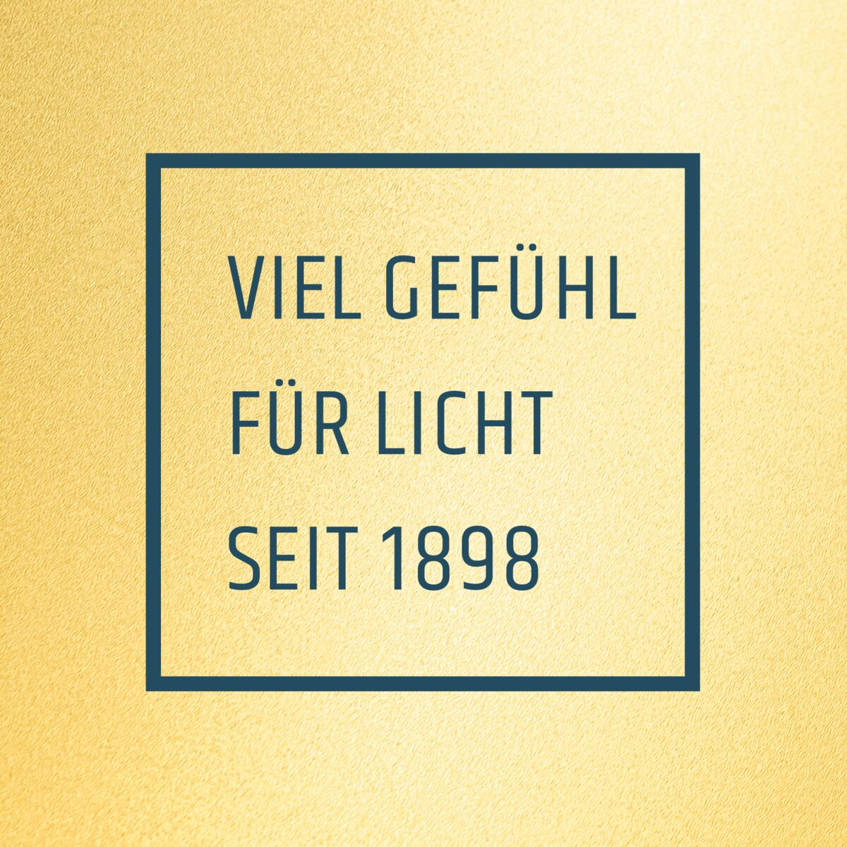Show cover of Viel Gefühl für Licht – 125 Jahre Lichthaus Ammon
