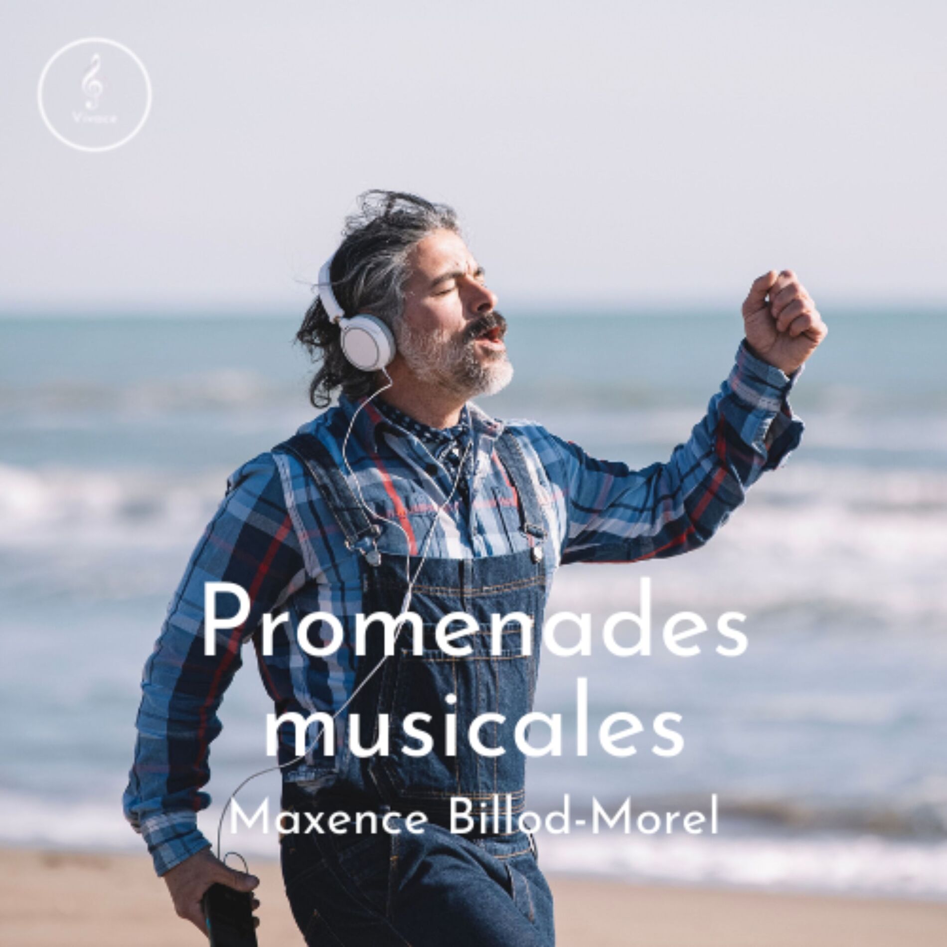 Show cover of Promenades musicales
