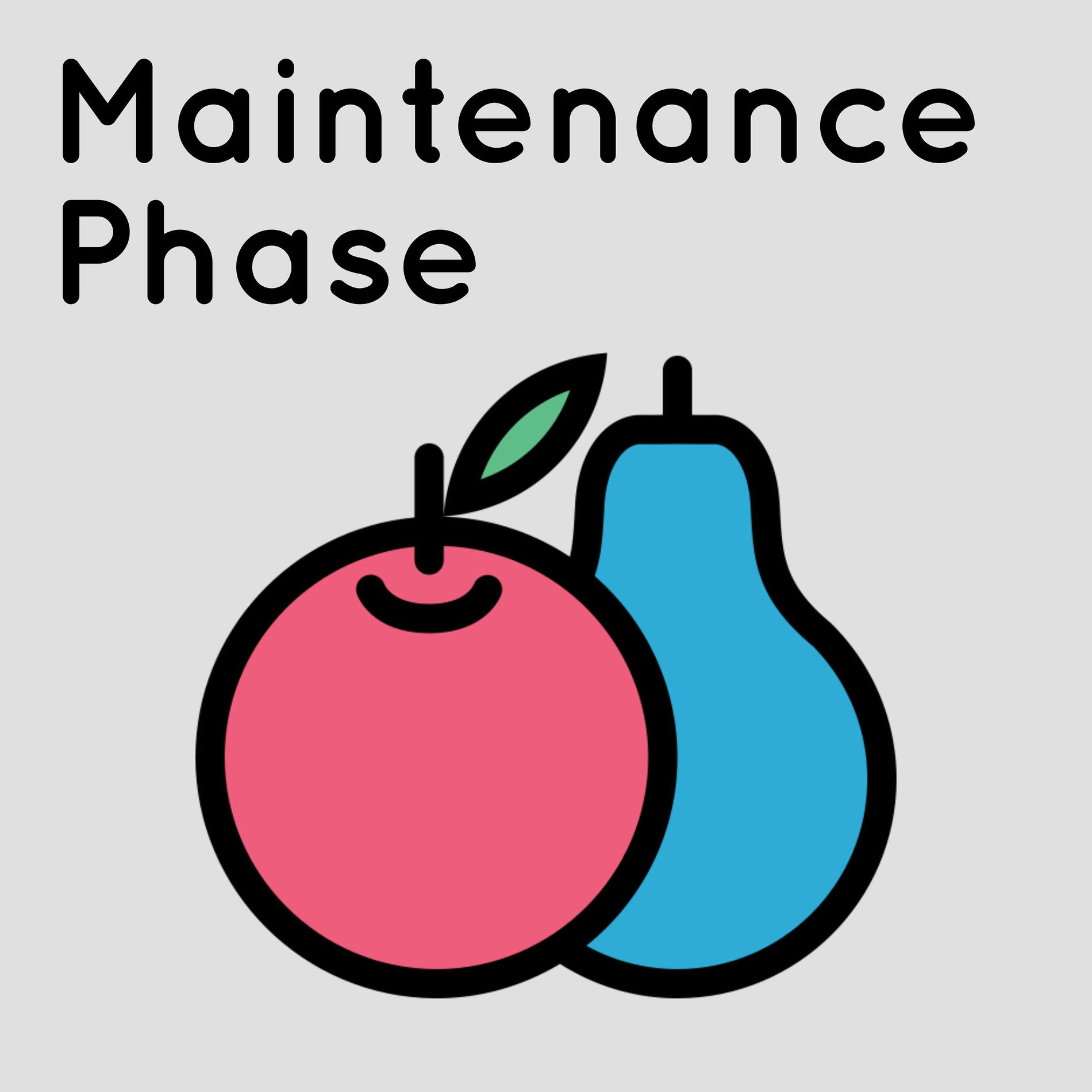Show cover of Maintenance Phase