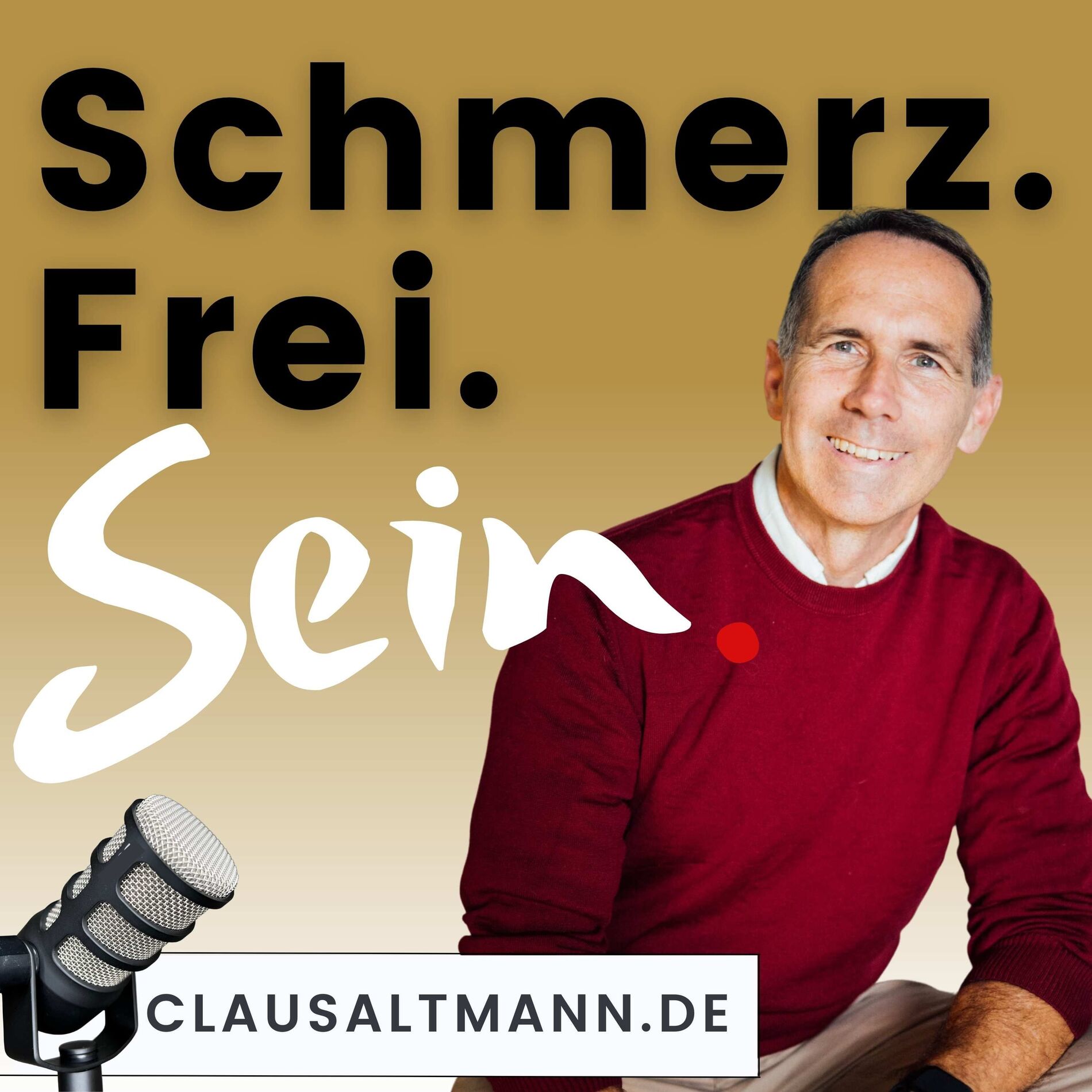 Show cover of Schmerz.Frei.Sein