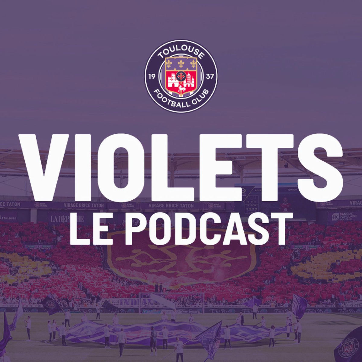 Show cover of VIOLETS