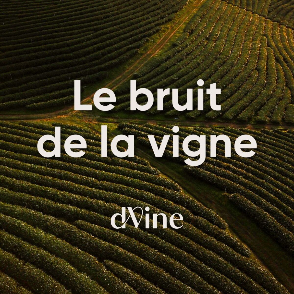 Show cover of Le Bruit de la Vigne