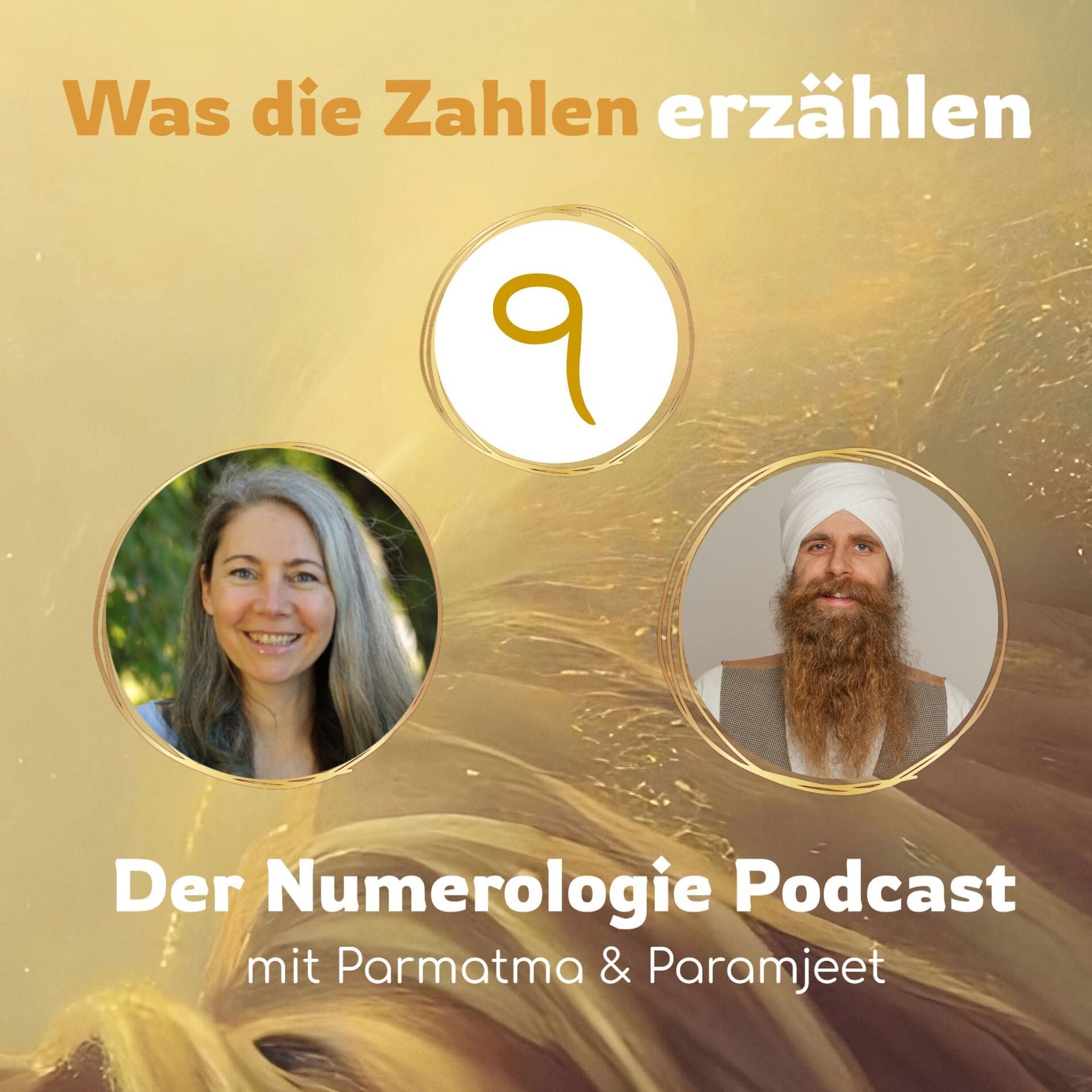 Show cover of Was die Zahlen erzählen
