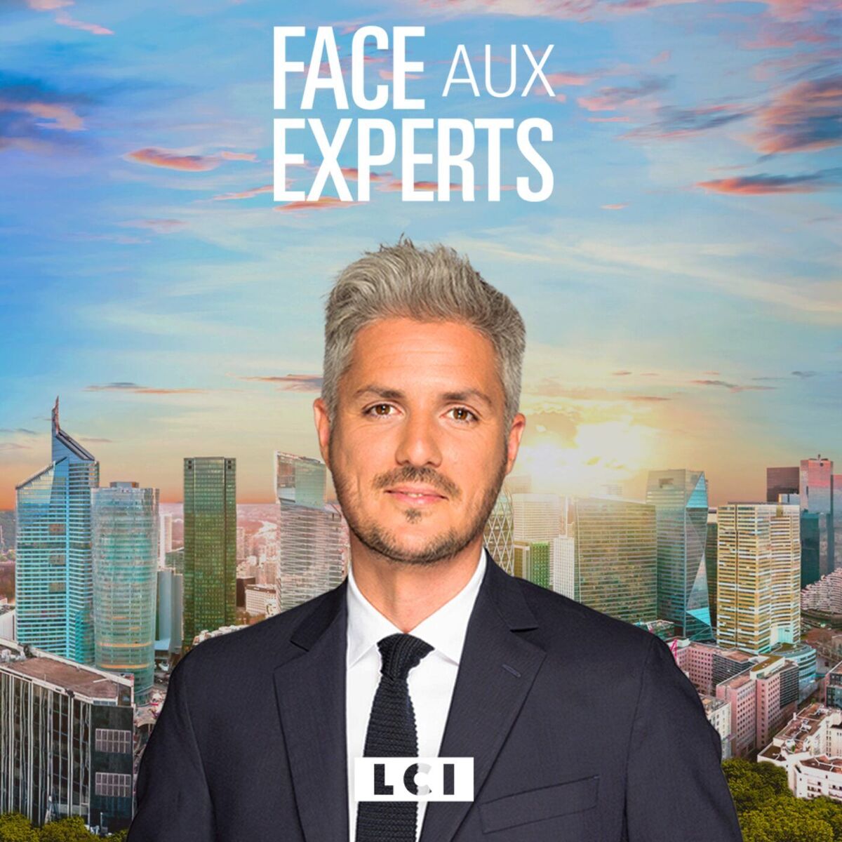 Show cover of Face aux experts