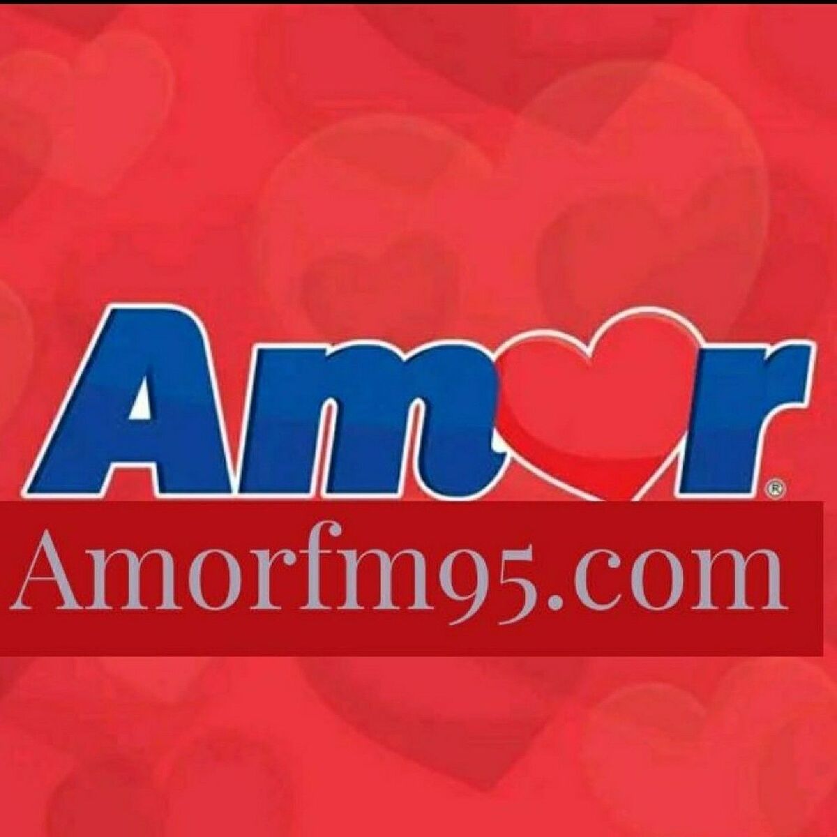 Show cover of AMOR FM 95