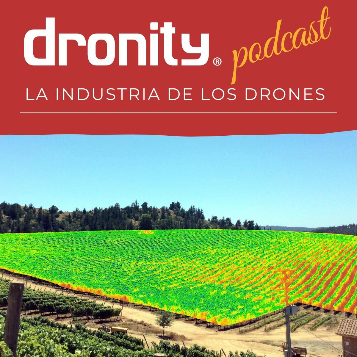Show cover of Dronity y la Industria de los Drones