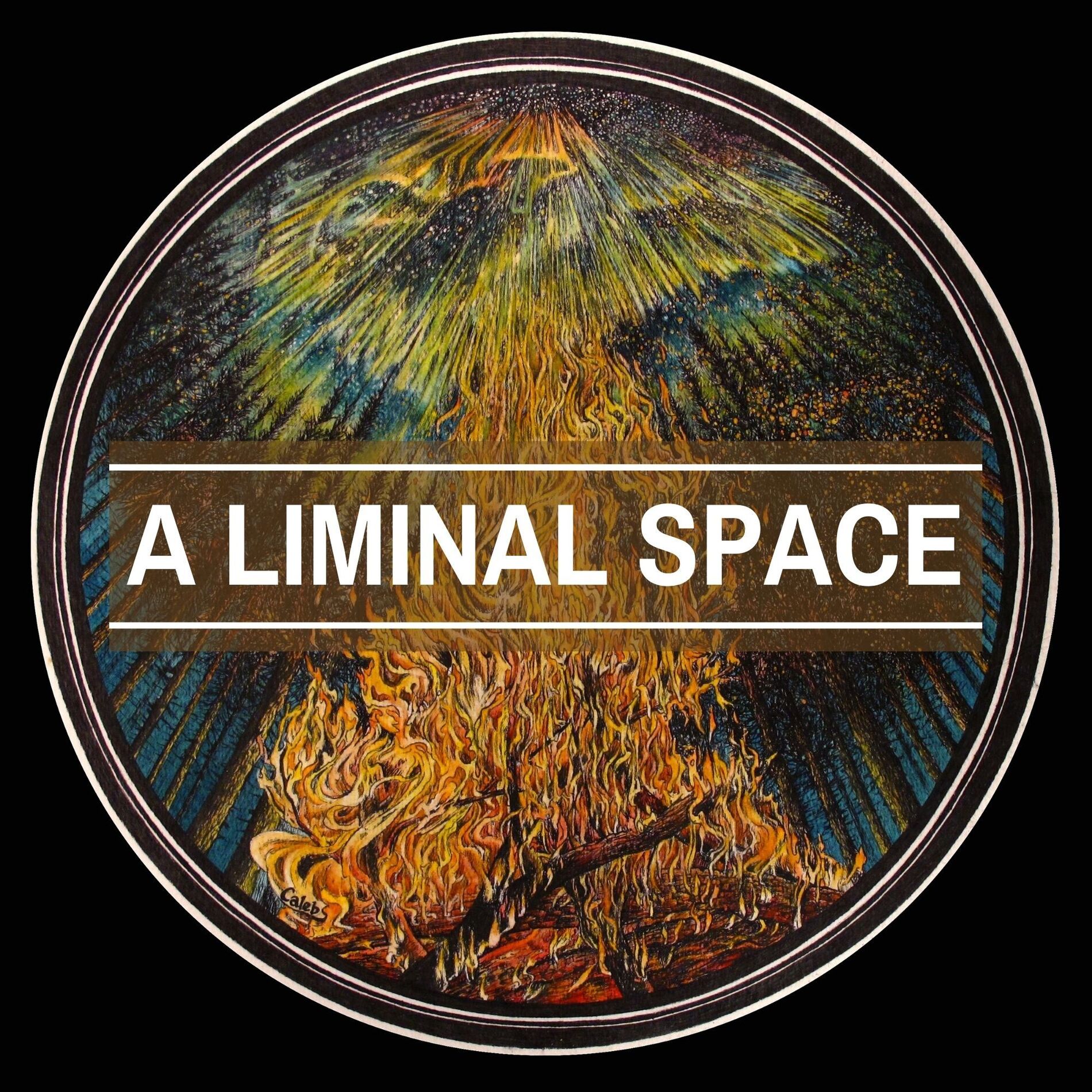 Show cover of A LIMINAL SPACE