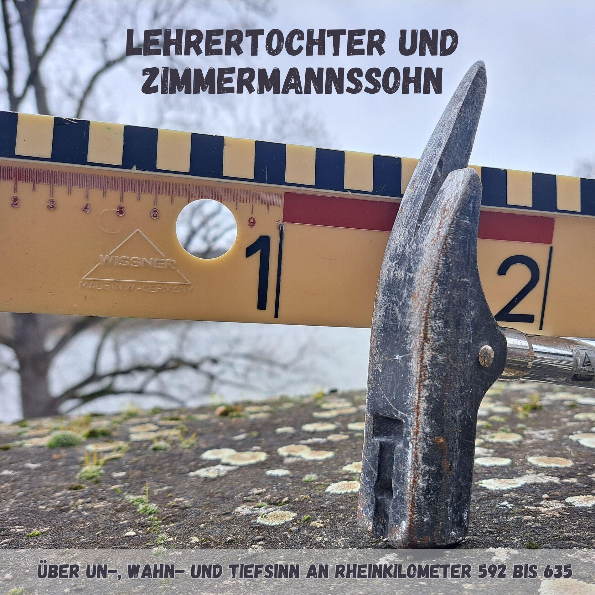 Show cover of Lehrertochter und Zimmermannssohn