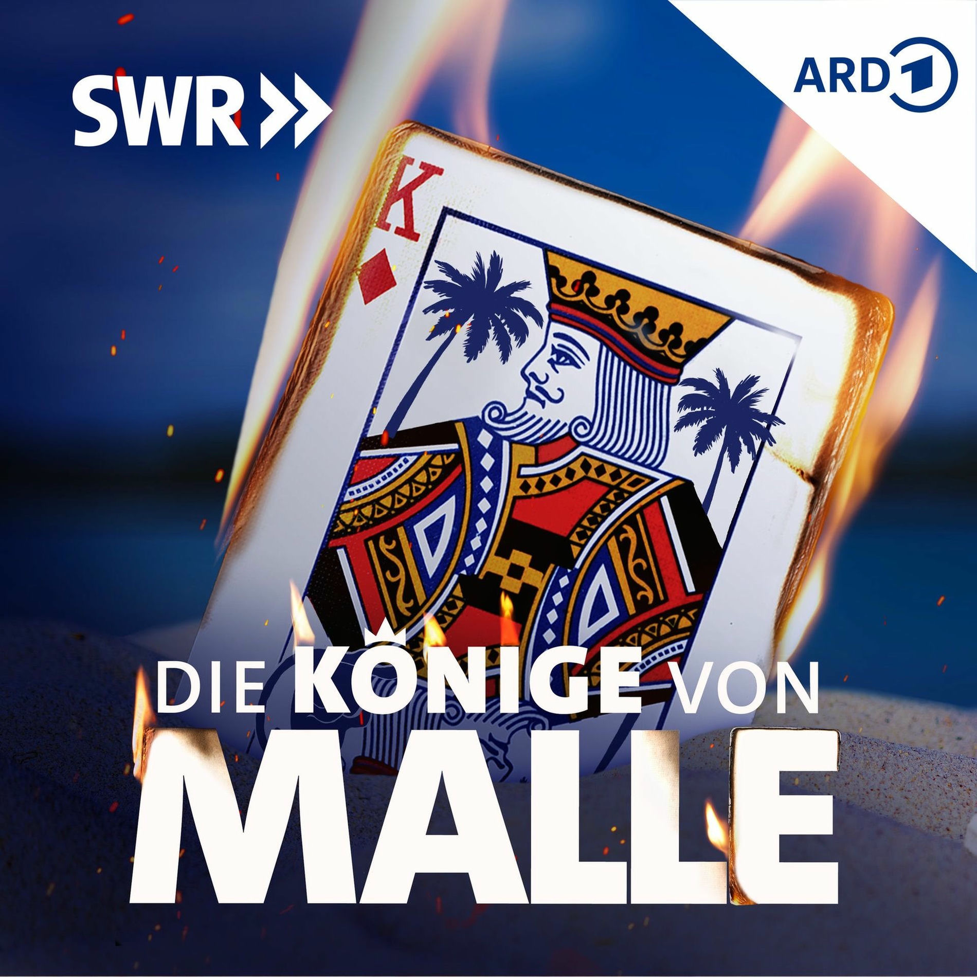Show cover of Based on a true Story – Die Könige von Malle