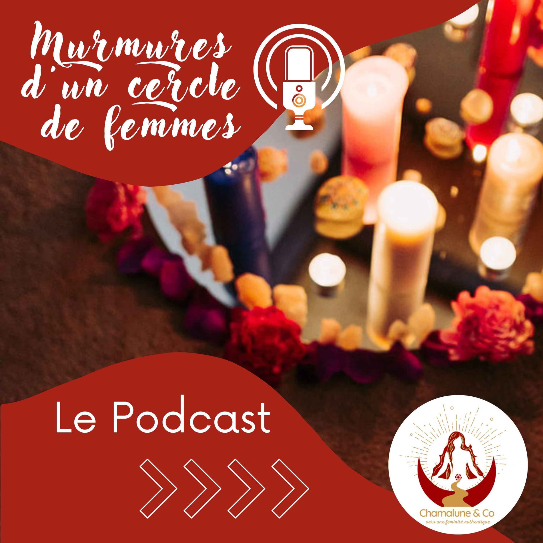 Show cover of Murmures d'un cercle de femmes