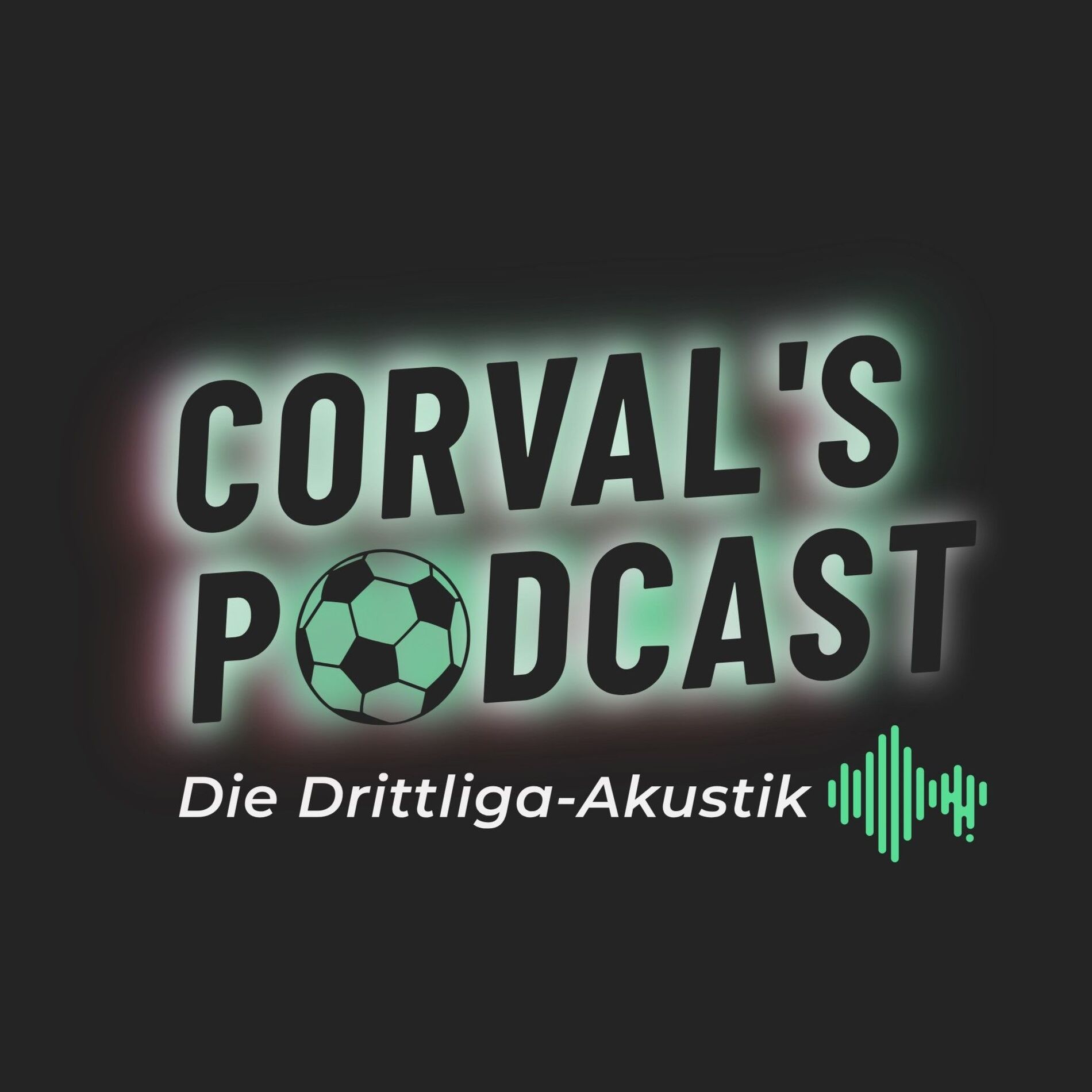 Show cover of Die Drittliga-Akustik