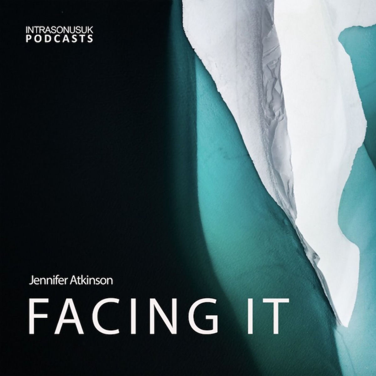 Show cover of Facing It