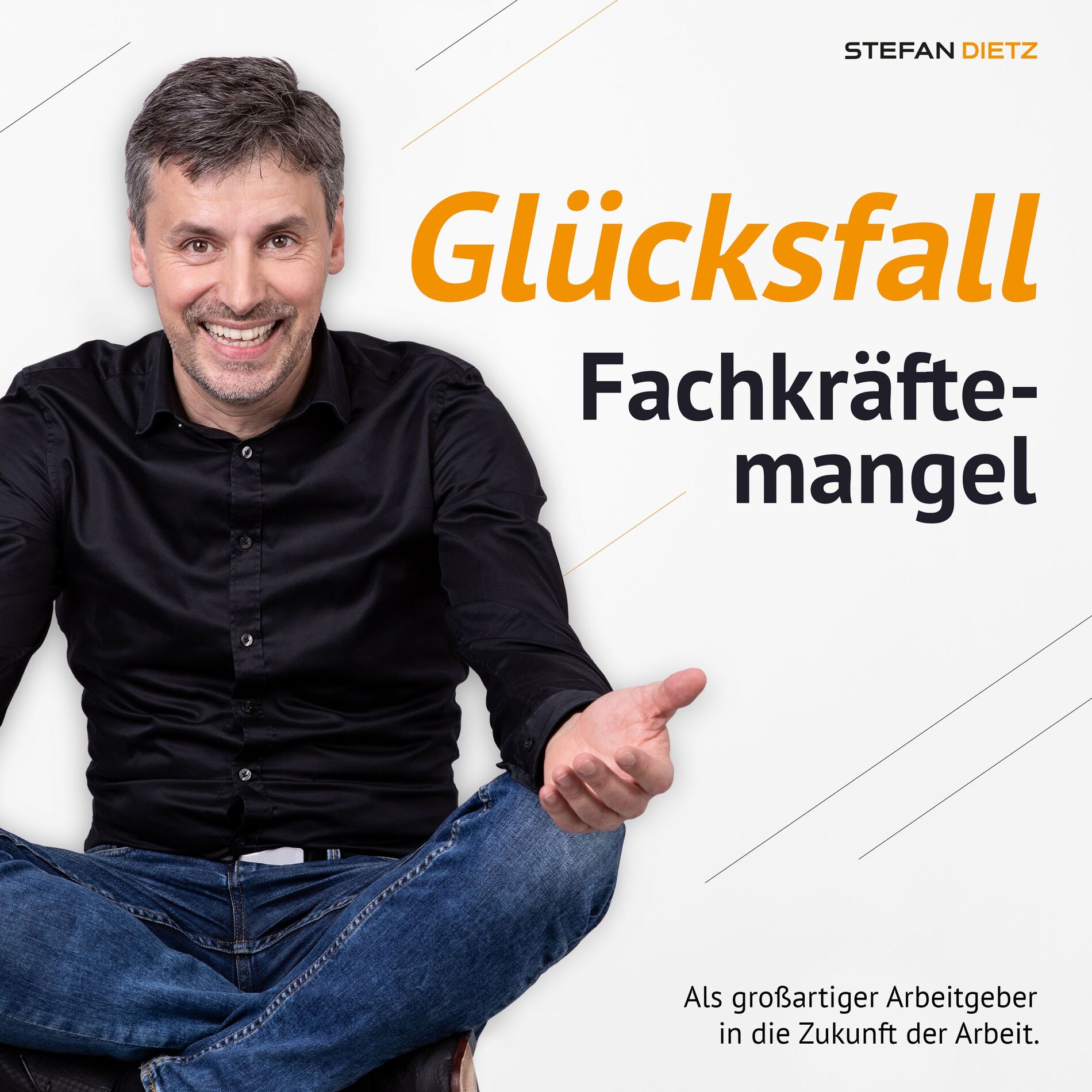 Show cover of Glücksfall Fachkräftemangel