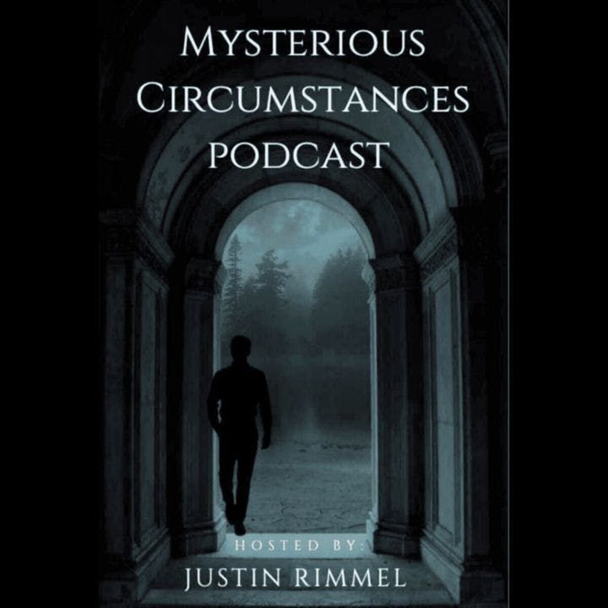 Show cover of Mysterious Circumstances