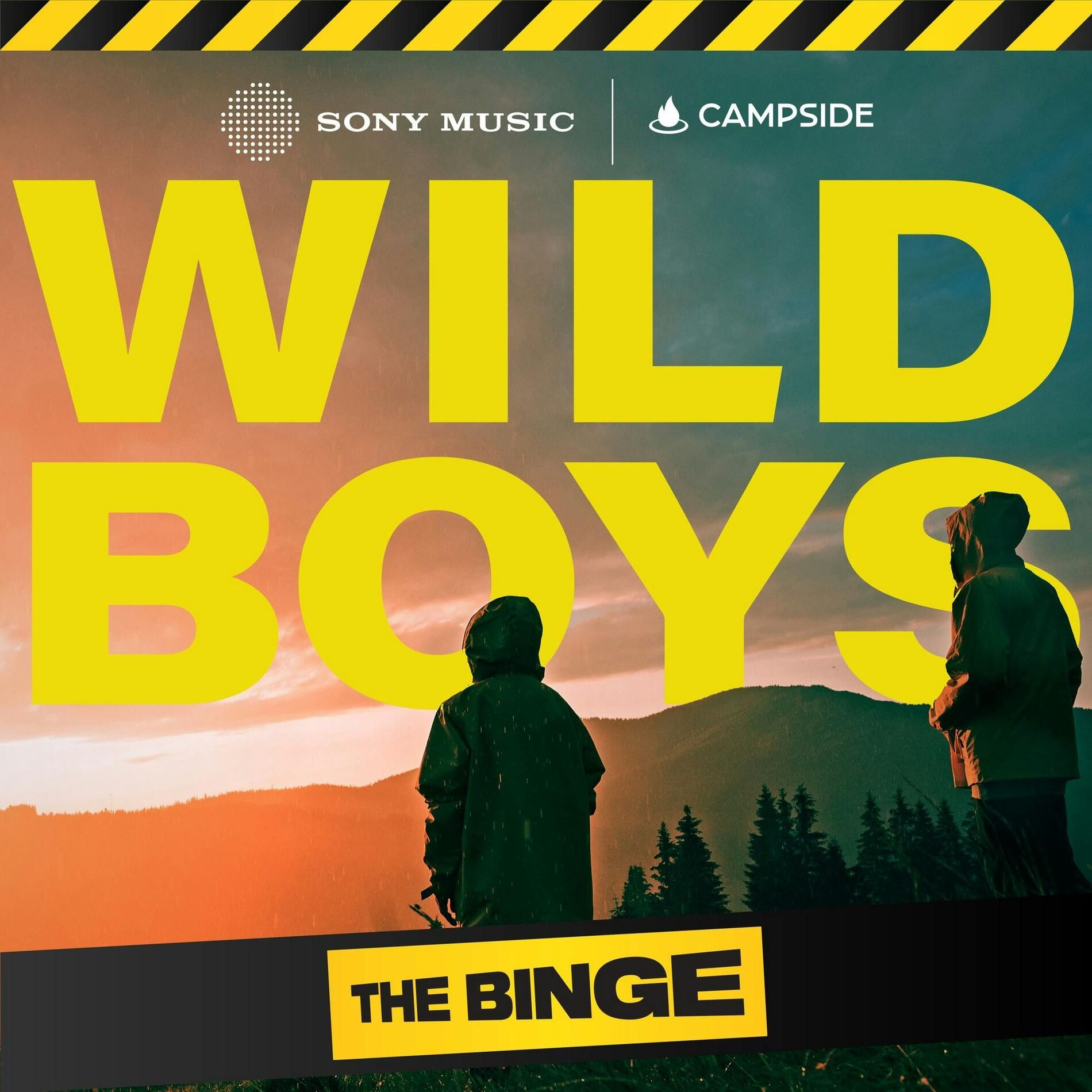 Show cover of Wild Boys