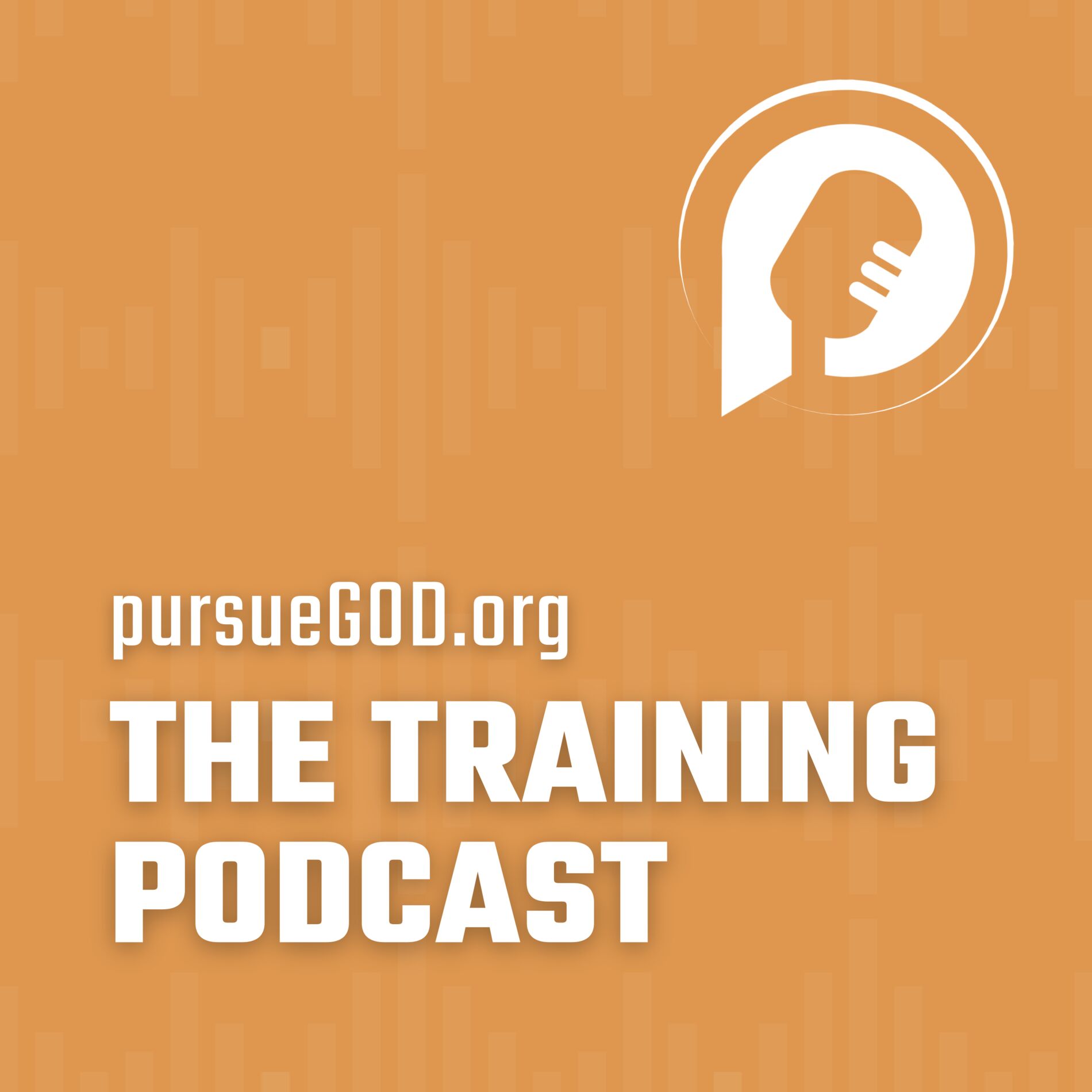 Show cover of The PursueGOD Training Podcast