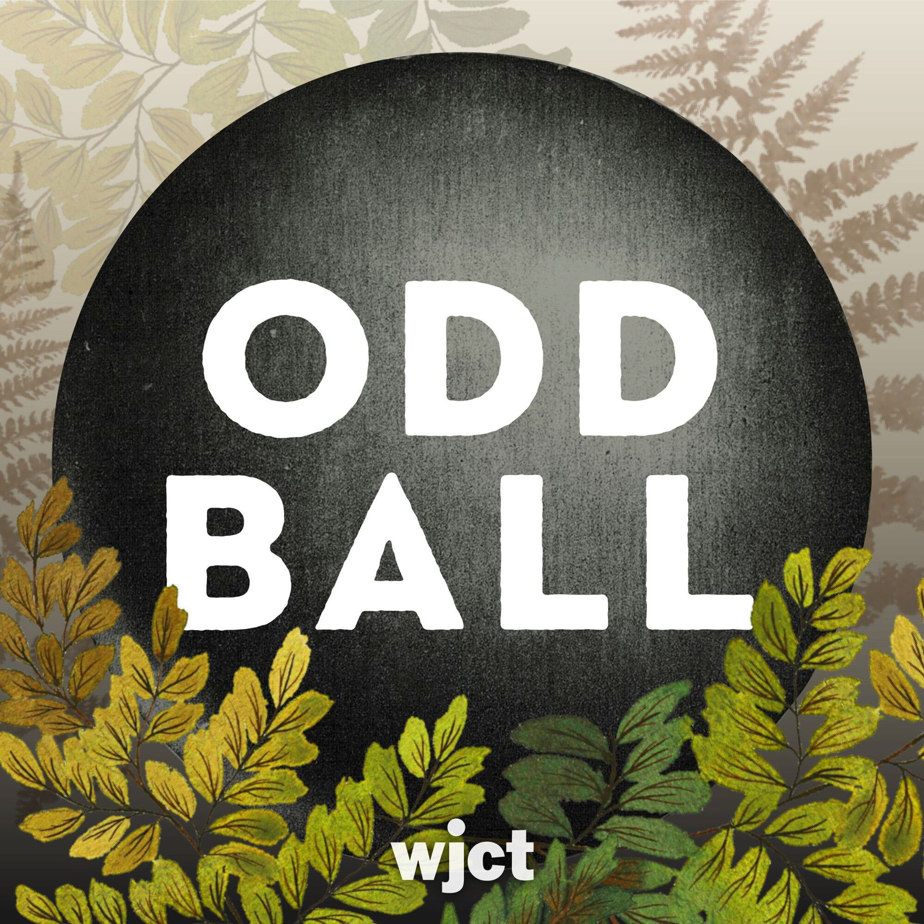Show cover of Odd Ball Podcast