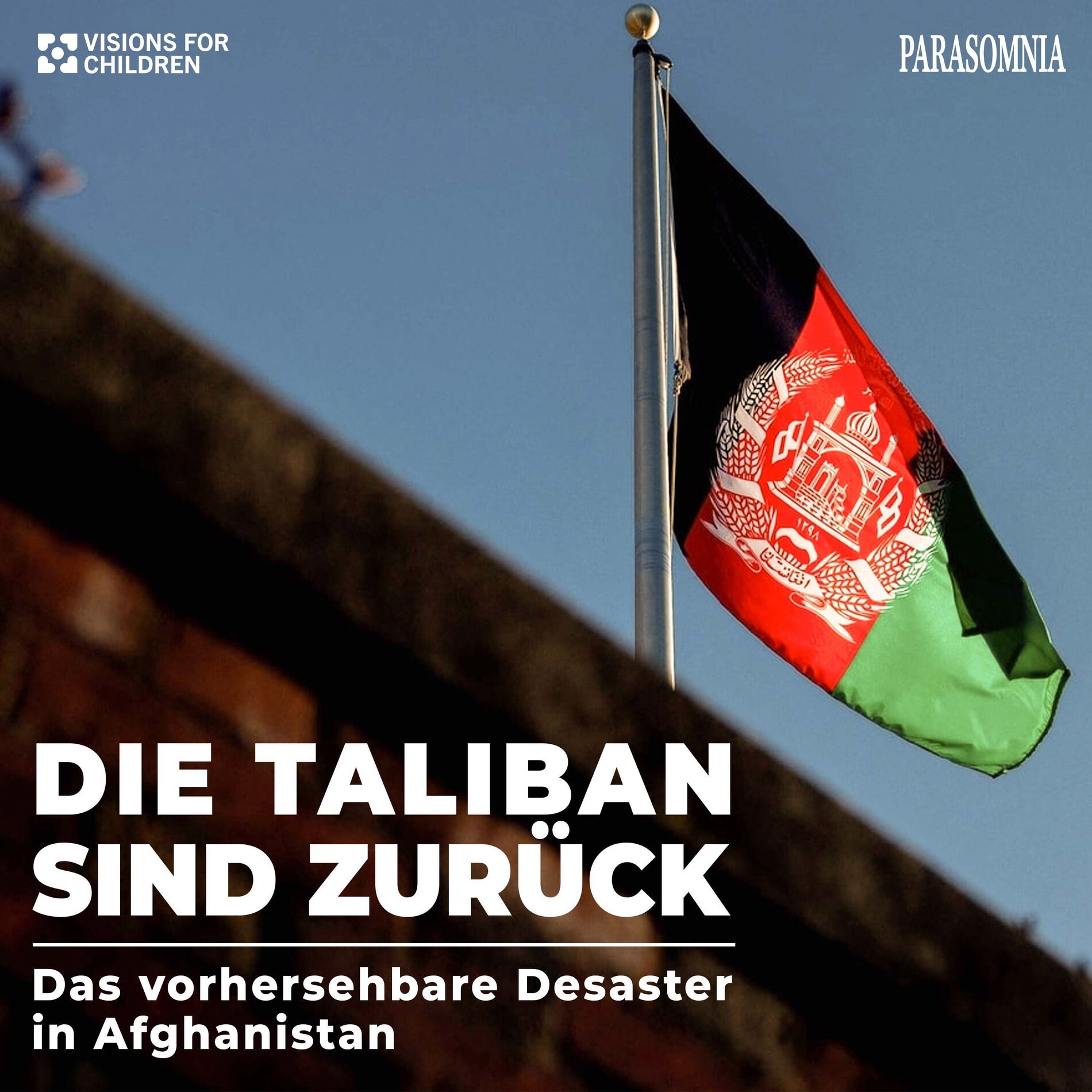 Show cover of Die Taliban sind zurück - das vorhersehbare Desaster in Afghanistan