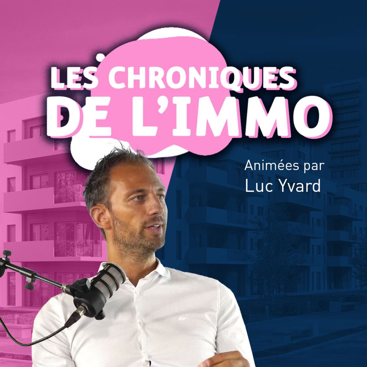 Show cover of Les chroniques de l'immo