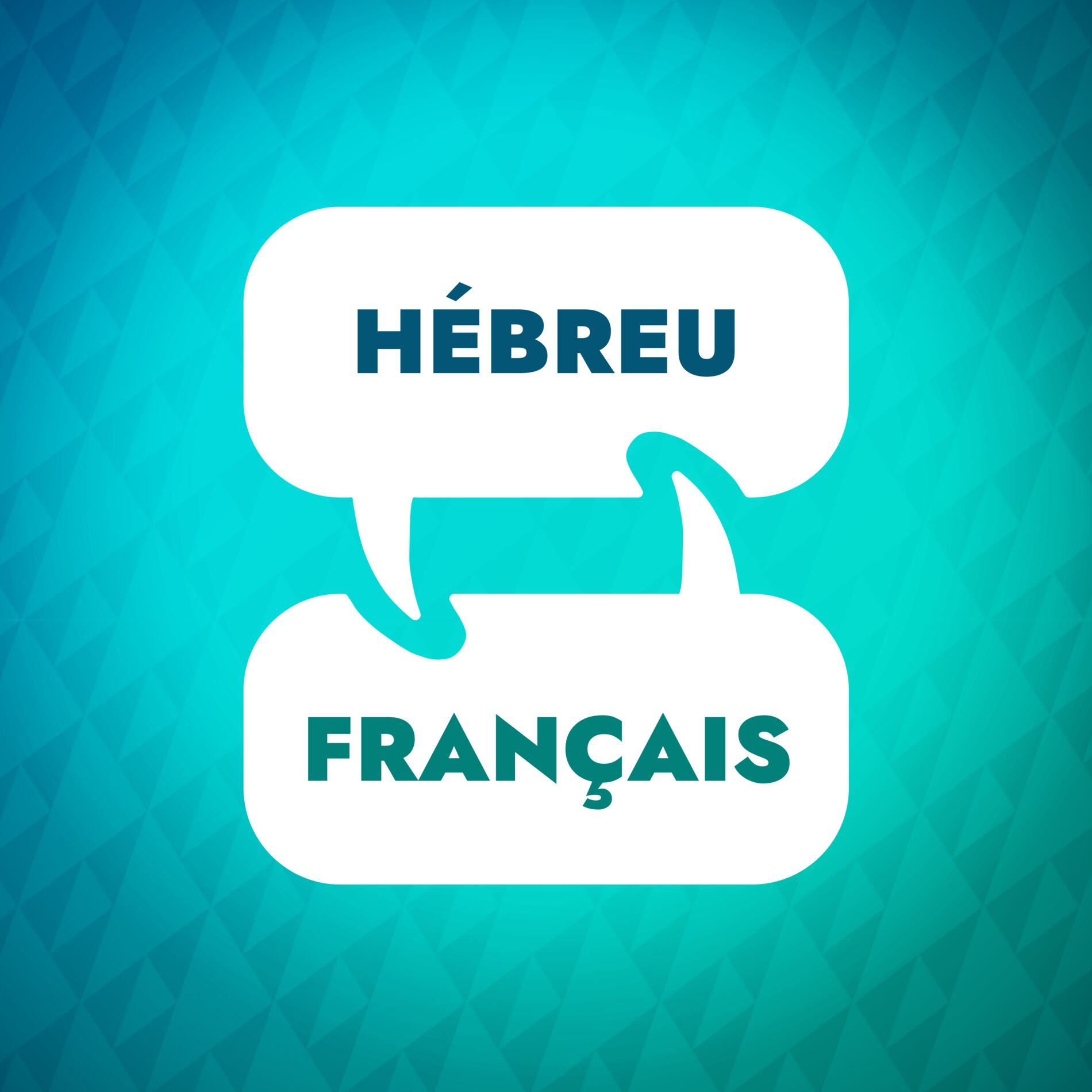 Show cover of Accélérateur d'apprentissage de l'hébreu