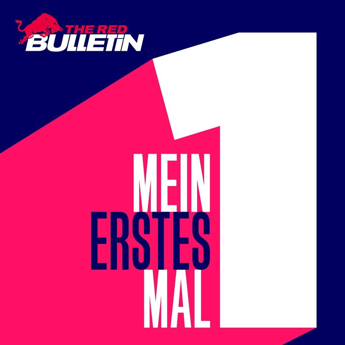 Show cover of Mein erstes Mal