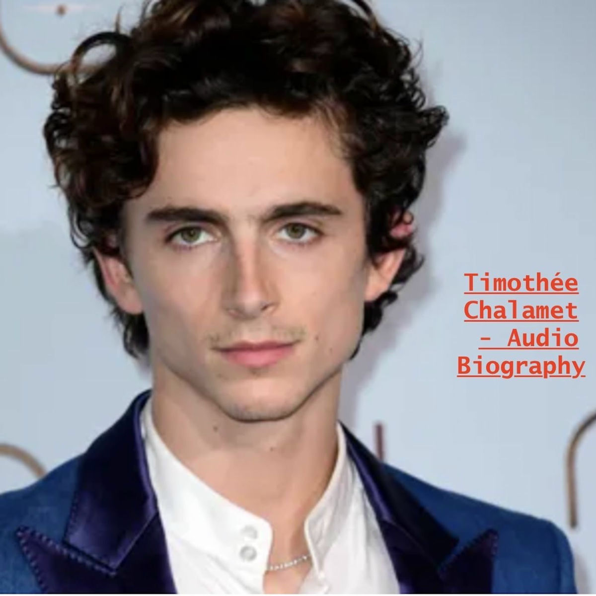Show cover of Timothée Chalamet - Audio Biography